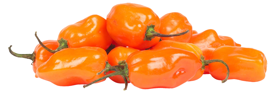 Habanero