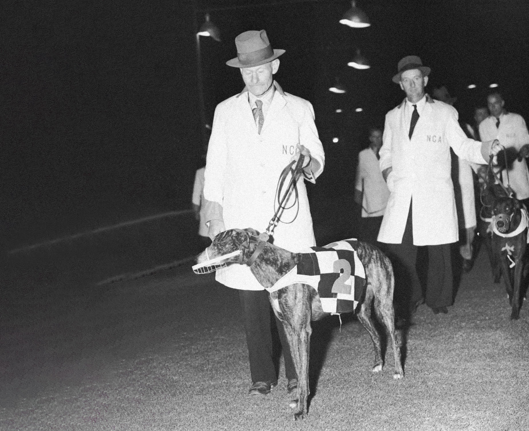 Elva dressed as a fairy