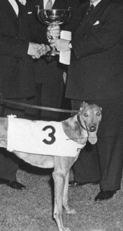 all the dandy posing with a greyhound