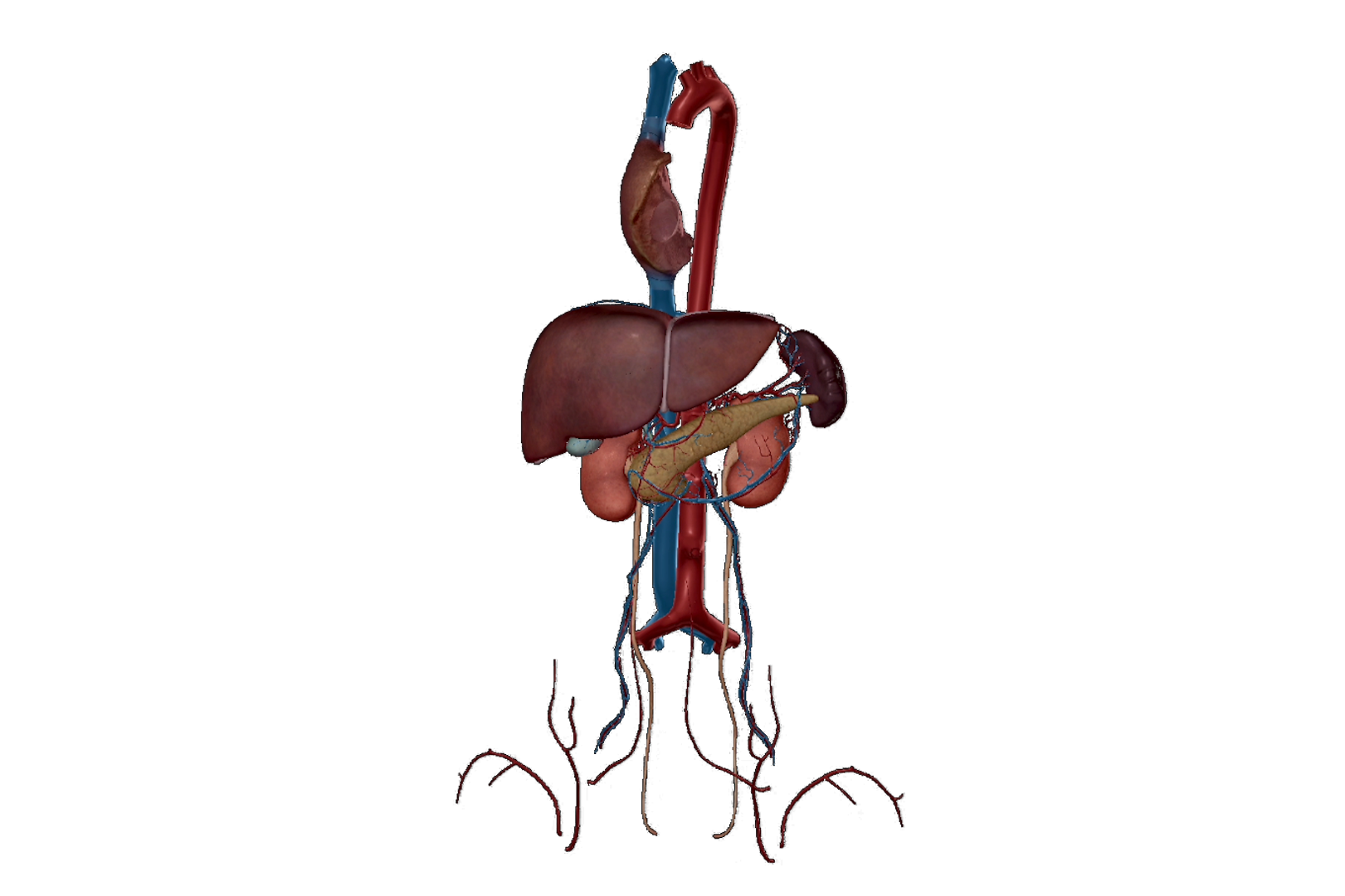 Fatty liver disease sequence