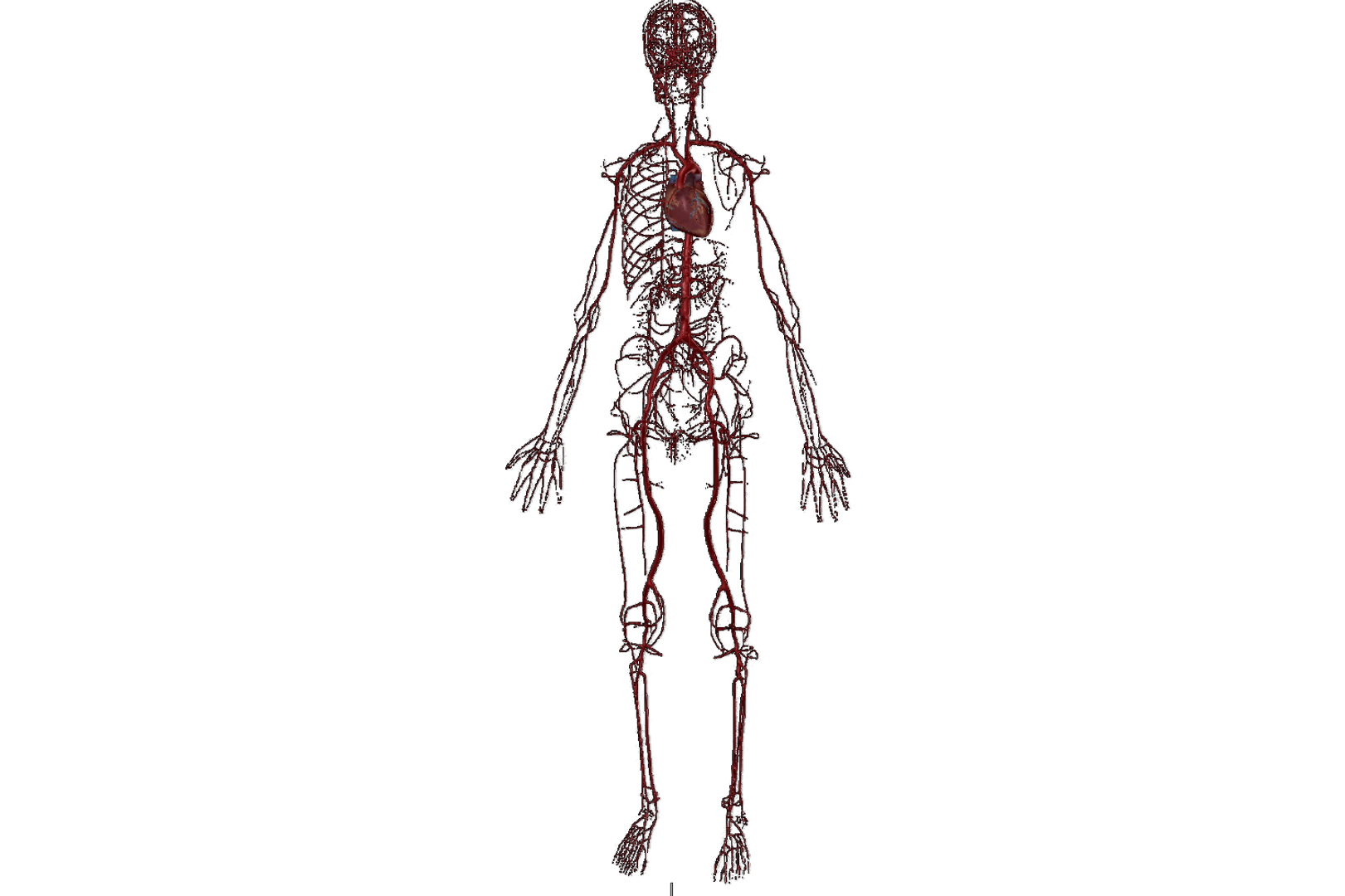 Hypertension sequence