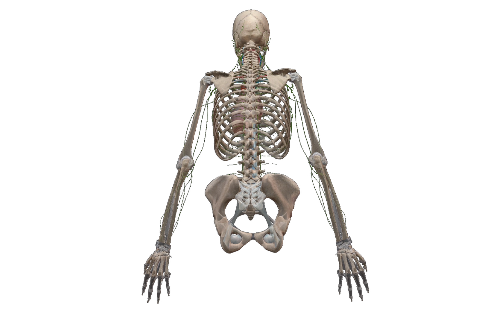 Immune dysfunction sequence