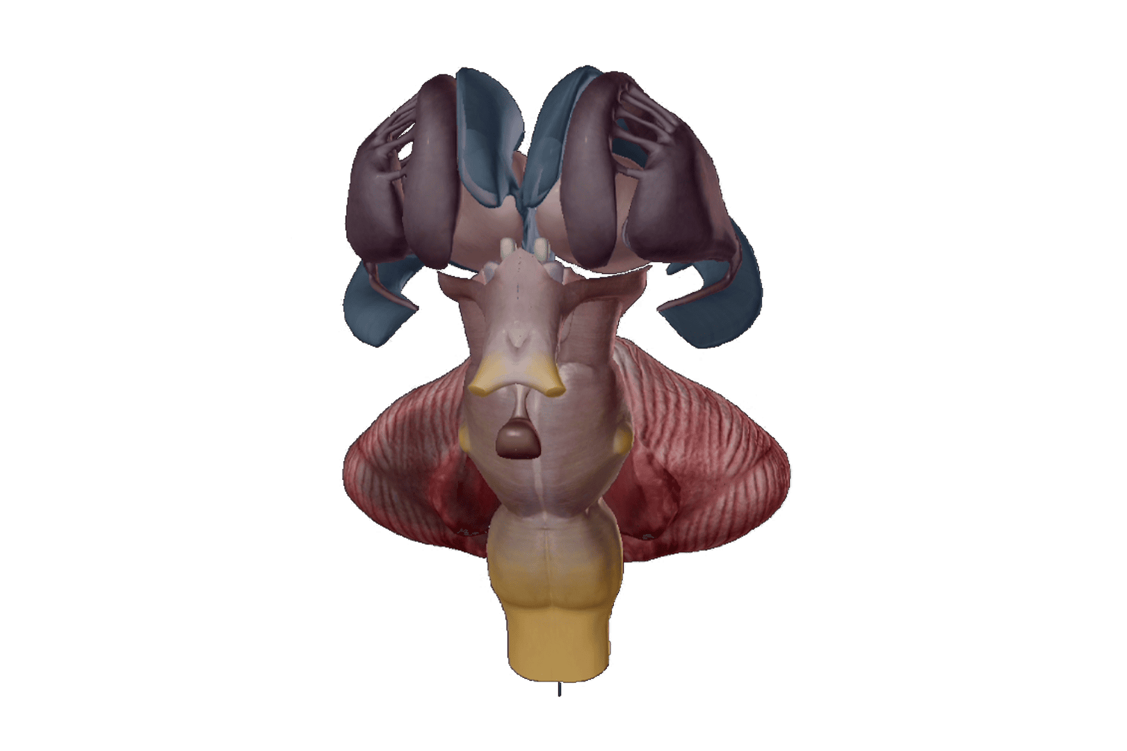 Parkinson's sequence