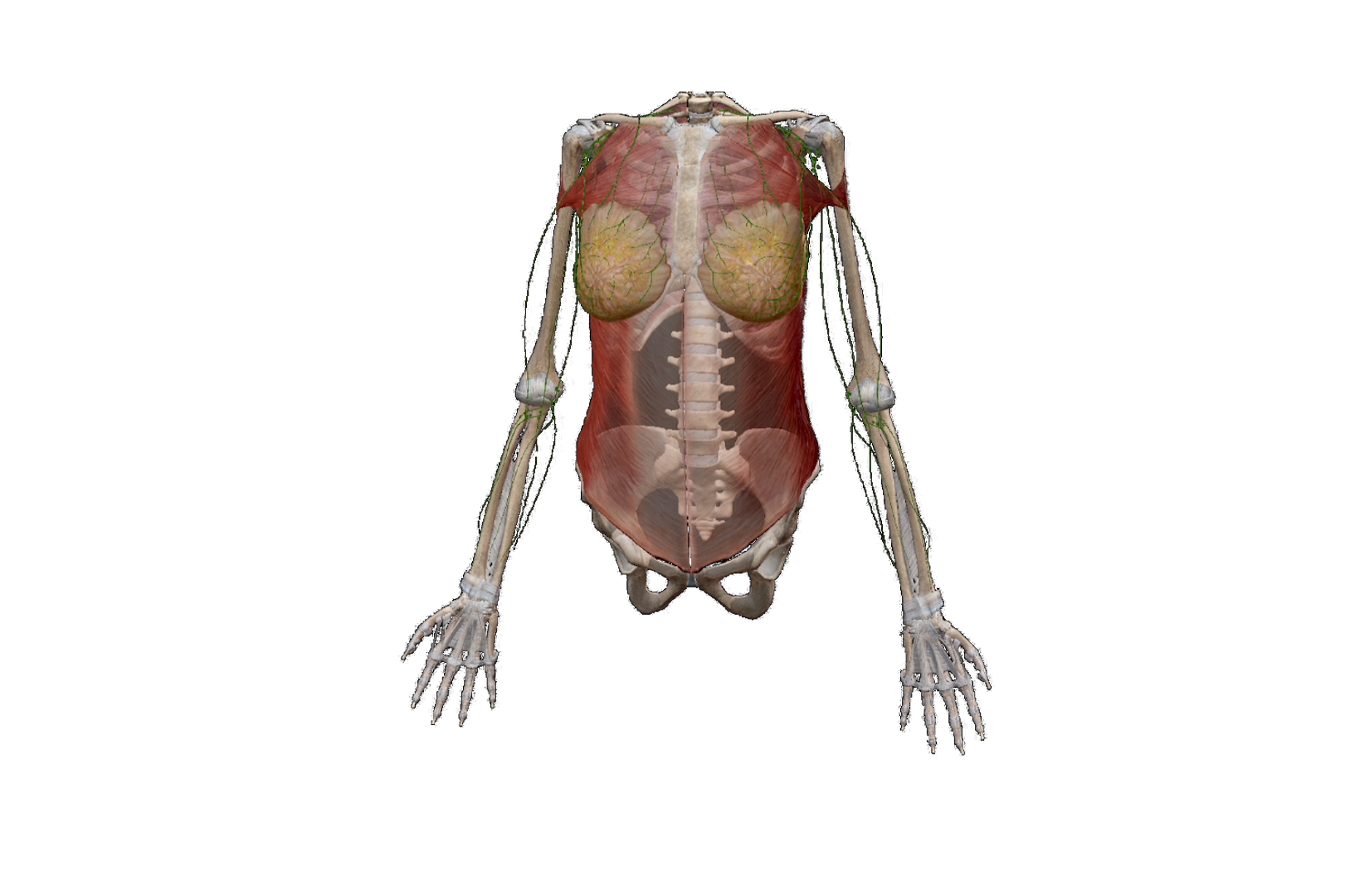 Poor cancer survival sequence