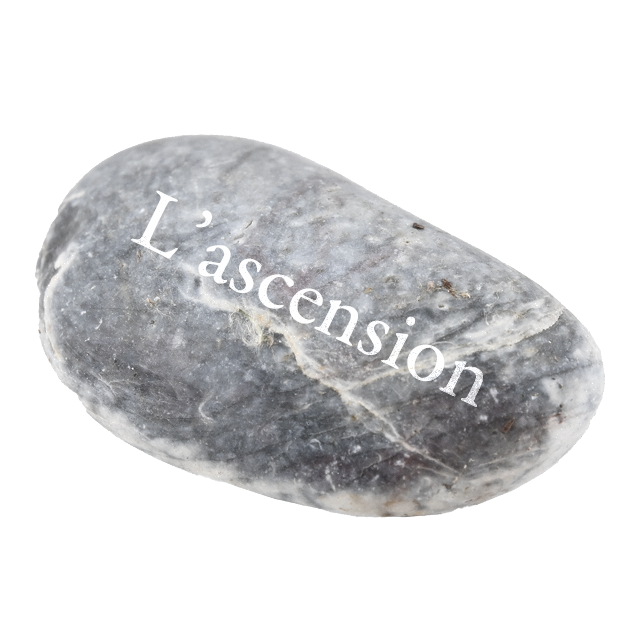 badge 1