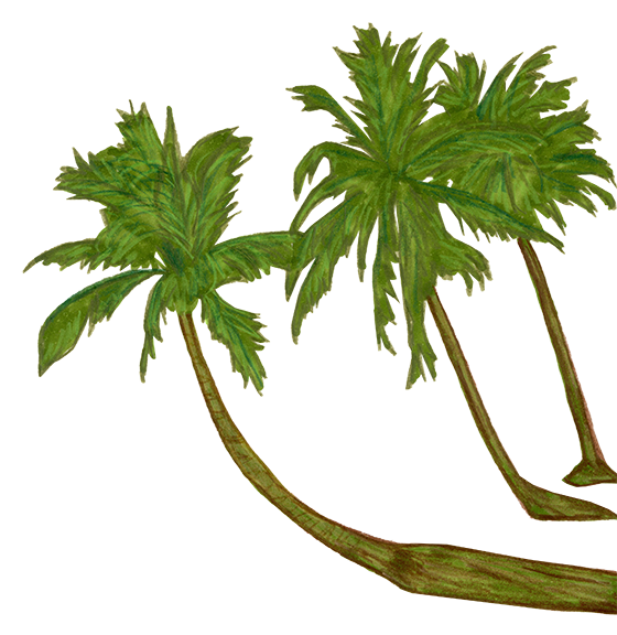 Palmiers